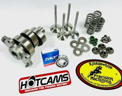 06-08 Raptor 700 Stage 3 Hotcam Hot Cam Kibblewhite Valves Springs Head Rebuild