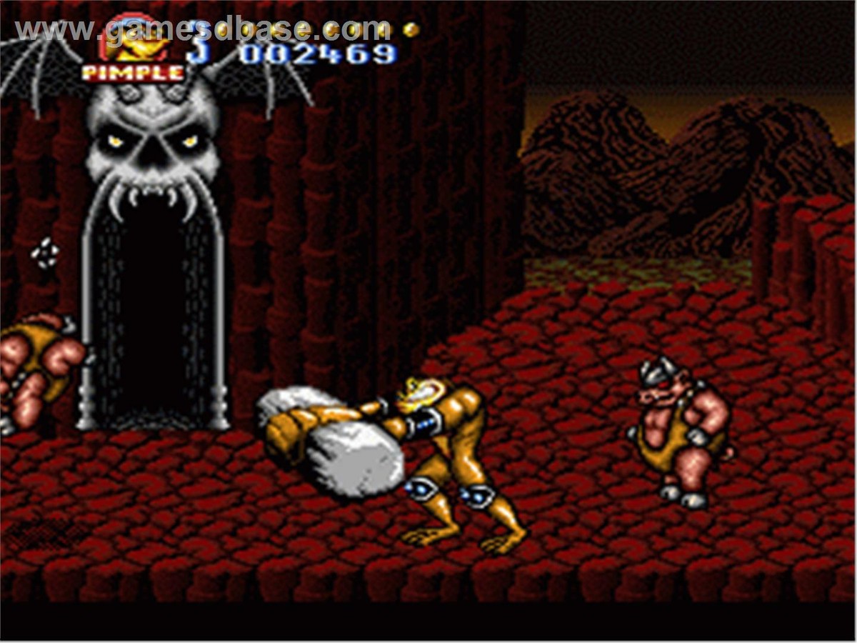Battletoads in Battlemaniacs PAL SNES Game | eBay