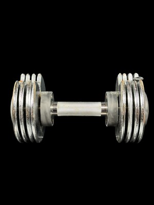 Vintage Weider Adjustable Metal Plates Dumbbell 5-25 Ibs Works