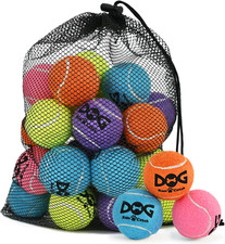 20 Pack Small Tennis Balls for Dogs - 2 Inch Squeaky Dog Balls Toys with Mesh Ba