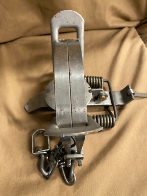 1  New Duke # 3C6  Coil Spring Traps  Beaver Bobcat Coyote Lynx Trapping-D