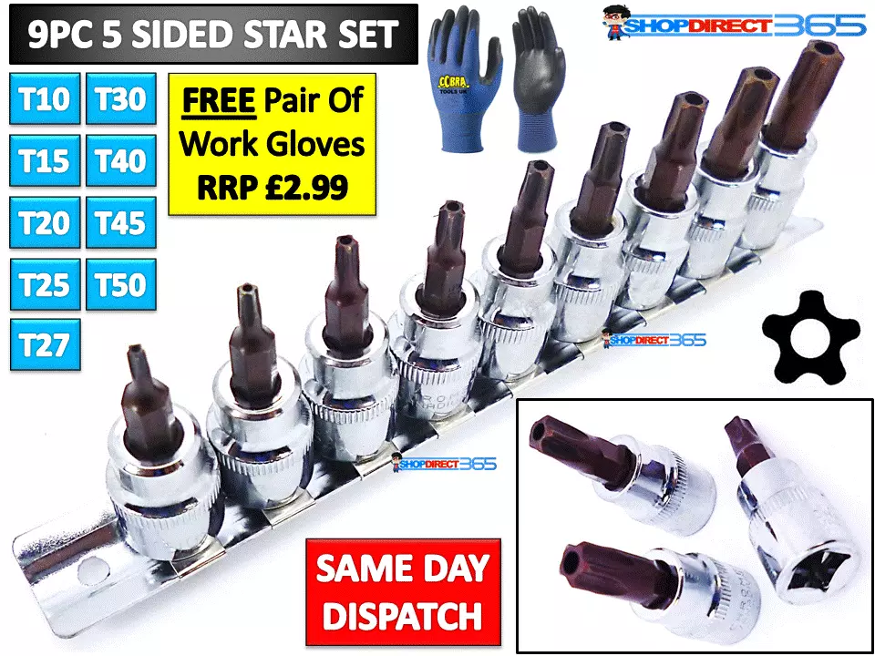 5 sided 2024 torx bit