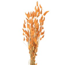 Flauschiges Trockengras f&uuml;r kreative Dekoration und Gestecke