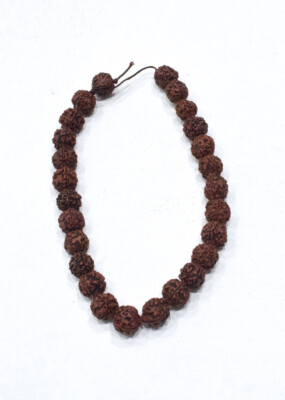 Beads Mala Rudrasksha Brown Nut Bead
