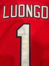 roberto luongo signed red authentic jersey 