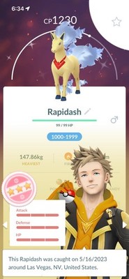 1 RANDOM SHUNDO - 100 IV & SHINY POKEMON -