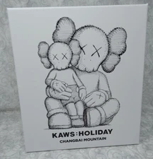 KAWS HOLIDAY Changbai Mountain Black Figure Companion Vinyl Figure - New