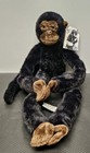 New ListingAurora World 24 Inch Hanging Chimp Plush