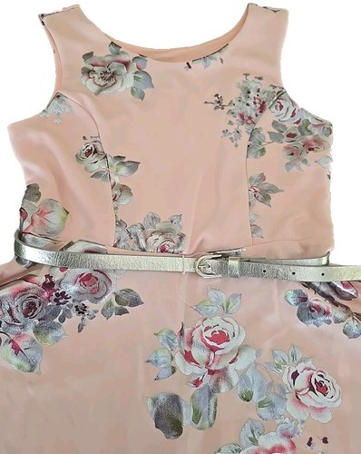 PINK & VIOLET ~ Girls' Size 8 ~ Metallic Rose Floral ~ Sleeveless Dress w/Belt - Picture 3 of 8