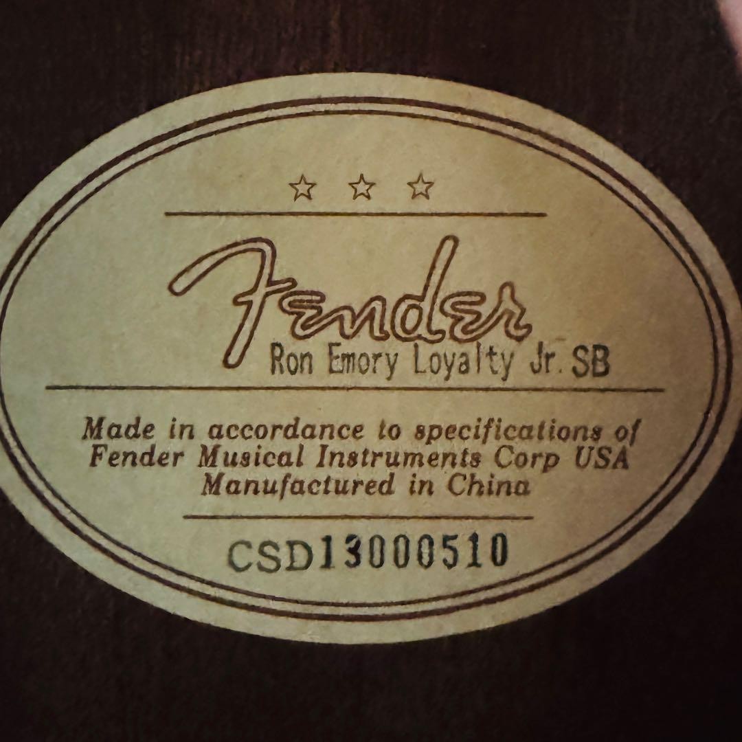 Fender acoustic guitar Ron Emory Loyalty Jr.SB Musical