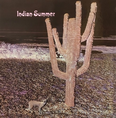 Indian Summer : "Indian Summer" ('71 Prog Rock LP Reissue) - Bild 1 von 1