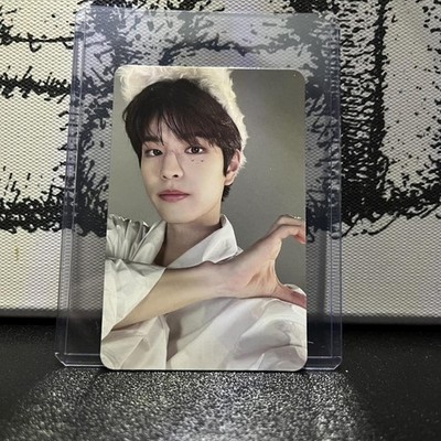 SKZ Maxident Stray Kids Seungmin Photocard - Album PC - KPOP Photocard