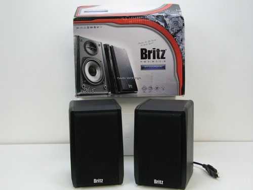 Britz BR-1000A(Plus) 2 Channel Twin 