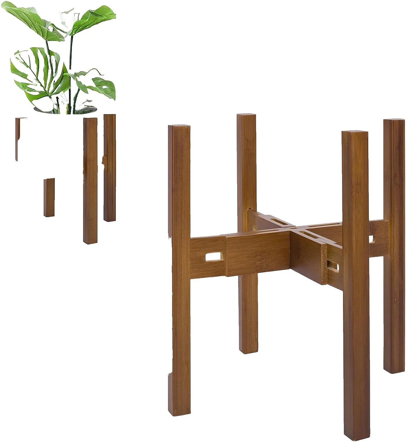 Planta de acrílico se encuentra