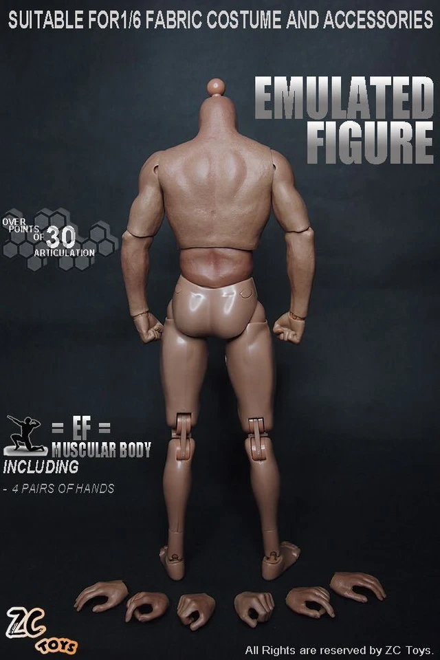 ZC Toys Escala 1/6 12" Hombre Desnudo Musculoso Figura Cuerpo Modelo Ajuste HT Cabeza Escultura Foto 3 de 4