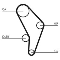 Continental Ctam Zahnriemen (CT926) FüR Audi Quattro 90 B3 80 B4 100 C3 A6 C4