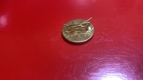 GEORGIA Georgian .. HAT ?? Badge .. ????? OR justice ?? pin - Picture 2 of 6