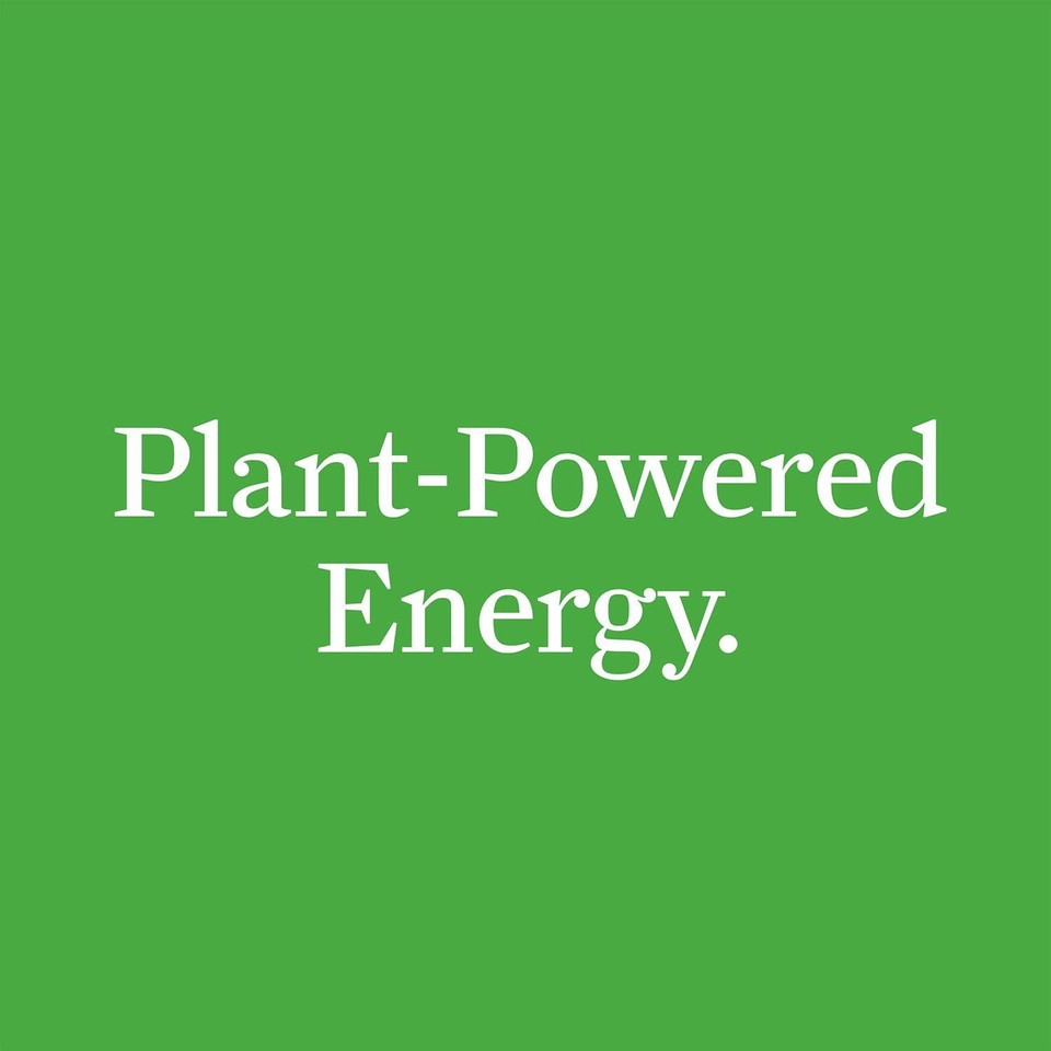 V8 +Energy Healthy Energy Drink, Natural Energy From Tea, Pomegranate