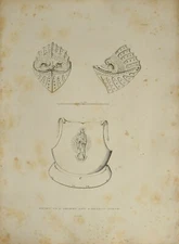 1830 ANTIQUE ARMS & ARMOUR PRINT FRONT OF HELMET & BREAST PLATE