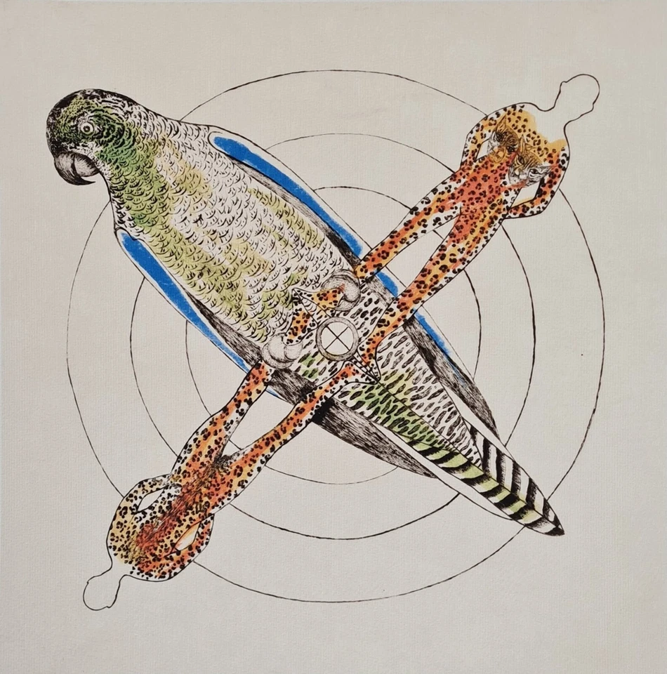 TOYEN (Marie Čermínová) *From the cycle..*70 x 50 cm*lithograph*limited # xx/250 - Bild 2 von 4