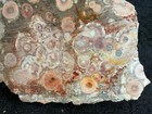 Z~ Galaxy Ryolite Faced Rough 3 lbs — photo 4
