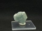 Foto 10 di 10