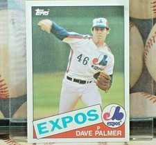Click to enlarge Dave Palmer