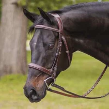 Premium Leather English Horse Bridle with Tack Set Available all Sizes