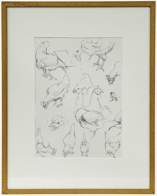 Leslie Charles Boyce (1892-1989) - Pen and Ink Drawing, Chicken Studies
