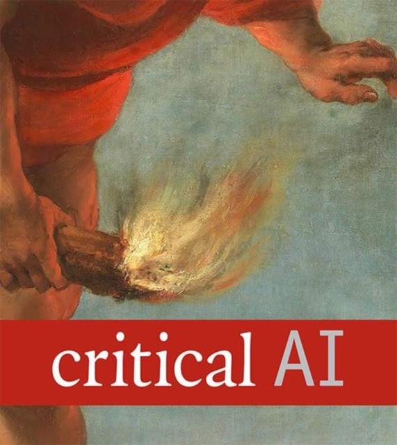 Critical AI by Rita Raley PAPERBACK 9781478024620