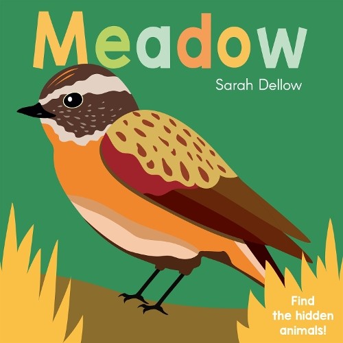 Сара Деллоу, Теперь ты это видишь! Meadow (Настольная книга) Теперь ты это видишь! (ИМПОРТ ИЗ Великобритании)