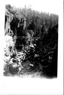 Vintage 1954 Black & White Forest Canyon Landscape Photo Vacation