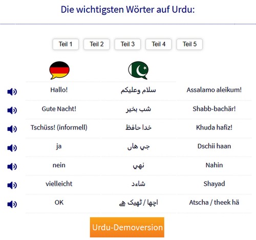 81 Sprachen von A bis Z Multimedia-Sprachkurs Demo vor Kauf der Vollversion - Bild 157 von 165