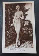 vtg postcard art Venus In A Landscape Lucas Cranach Louvre RPPC rare