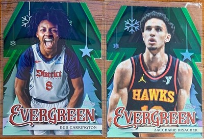 Evergreen Parallel Lot *Advent Calendar Exclusive* (2) - Carrington/Risacher
