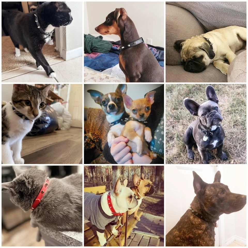 Collar de cuero con púas negras para perros medianos grandes collar ajustable para mascotas Foto 4 de 4