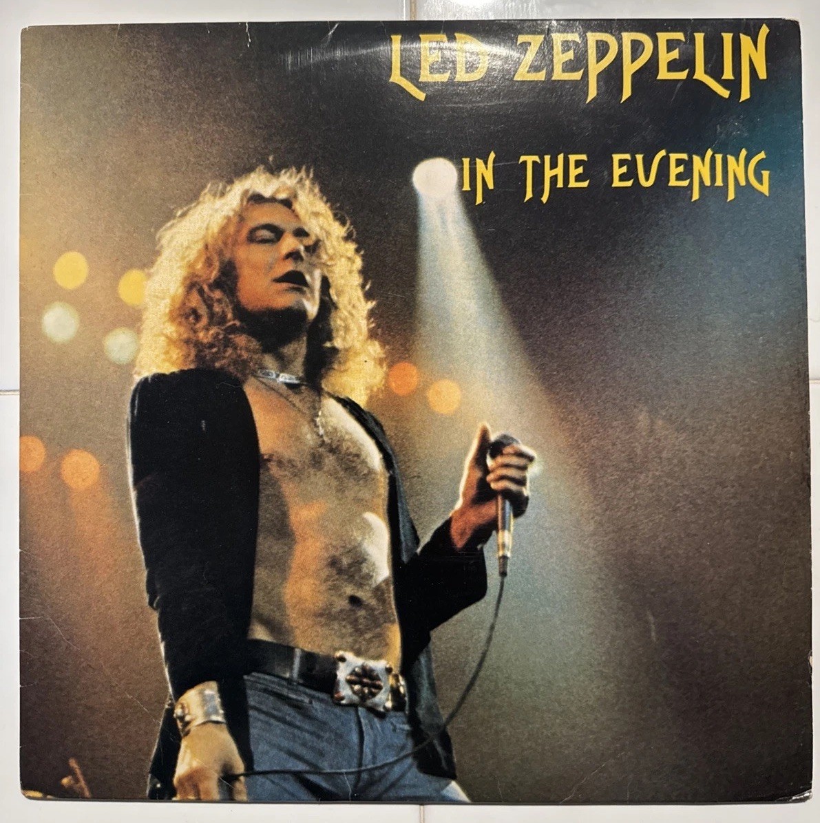 RARE VINYL Classic Rock 2xLP LED ZEPPELIN In The Evening DANE RECORDS 1979/1980