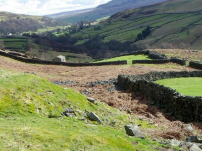 Photo 6x4 Drystone walls near Whaw The valley is criss-crossed with ...