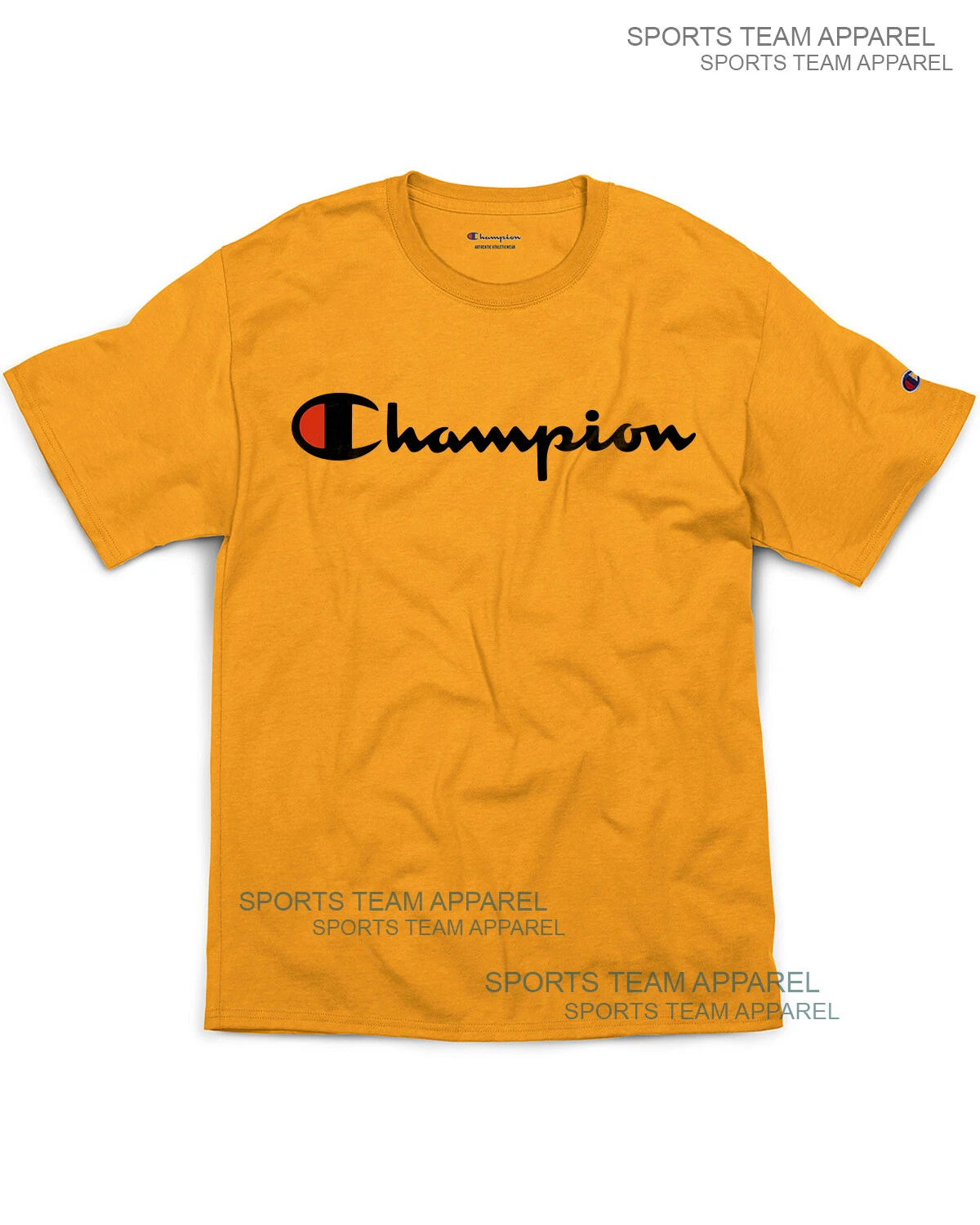 Champion Men's Jersey T-Shirt Classic Fit with Script Logo