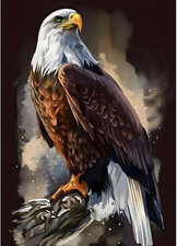 Eagle Diamond Painting Kits for Adults, American Bald Eagle Full Drill round Dia
