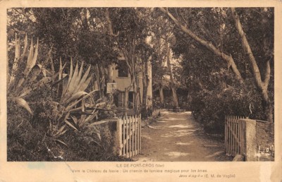 ILE de PORT-CROS - towards the fairy castle: a magical path of light... 