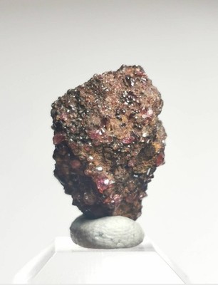 Rubin auf Painit. Ein Seltenerd Mineral sehr sammelwürdig 24ct aus, Burma 