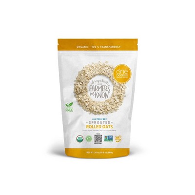 Hot Cereal Rolled Oat USA (24oz) 24 Ounce (Pack of 1) 