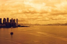 Reflx Lab Diablo 100 Red Scale Film 35x36 12/2028