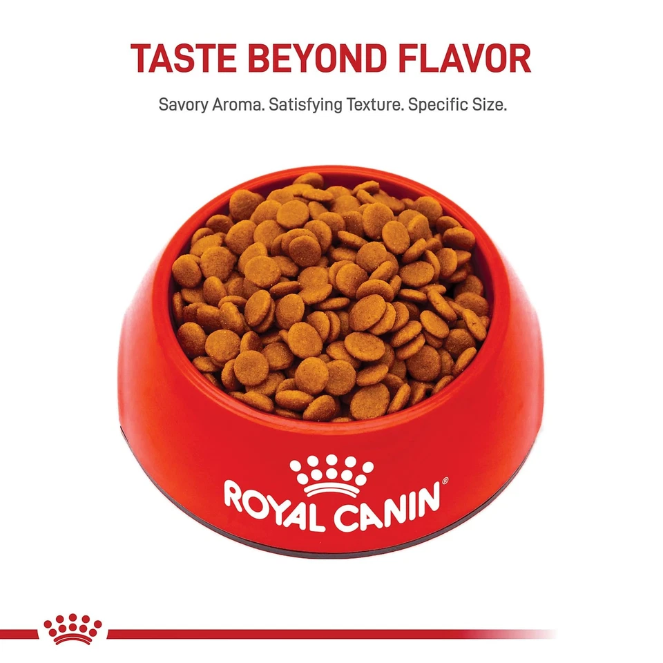 Royal Canin Small Digestive Care Dry Dog Food For Sensitive Stomachs 3.5 Lb - Image 2 of 4
