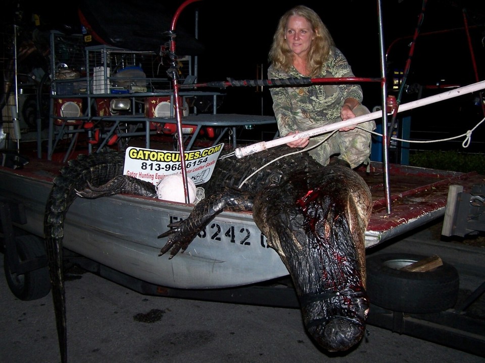 Wild Alligator Gator Leg Leather Scrap piece crafter craft insert Rust ...