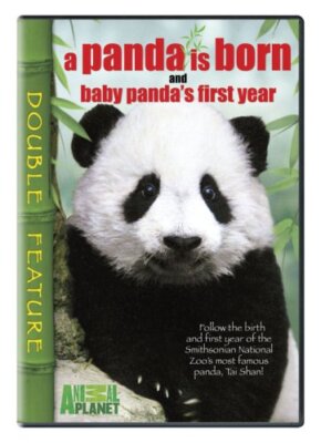 A Panda Is Born / Baby Panda's First Year [DVD]