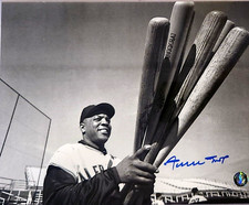 WILLIE MAYS W/BATS MLB G.O.A.T. Personally Autographed/Signed Photo (8X10)