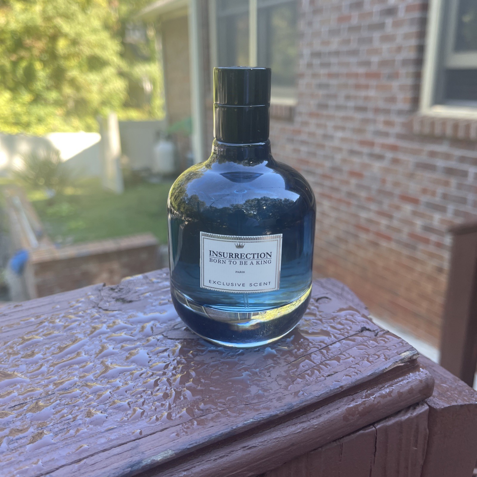 95% full, Insurrection Born To Be A King EPD Spray Regular 3.3 fl oz Preowned.
