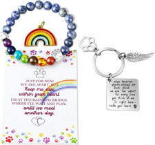 Pet Memorial Gifts, Pet Sympathy Gift, Rainbow Bridge Bracelet for Beloved Dog C